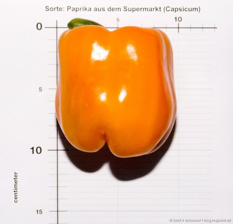 chili-lineal-pdf